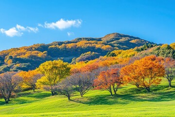 Green hills in Japan, morning, featuring a mountain landscape with trees in autumn colors green yellow orange under a clear blue sky, epitomizing serene natural beauty. SHOTLISTtravel , ai