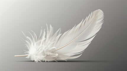 Poster - A single white feather rests on a neutral gray background