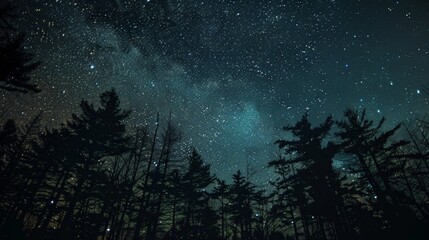 Canvas Print - Stars twinkle like distant diamonds in the midnight sky, sparking wonder and awe.