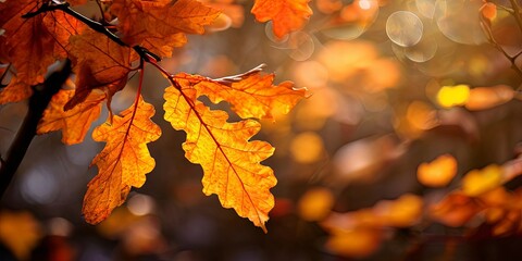 Poster - A leafy tree branch with a leaf that is orange in color