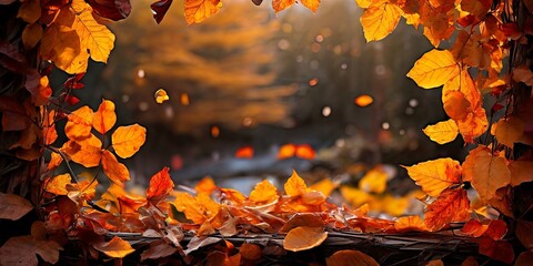 Poster - A beautiful autumn scene with a frame of leaves