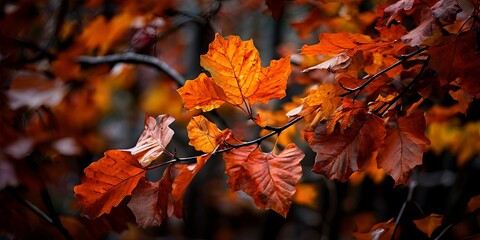 Poster - A tree branch is covered in orange leaves