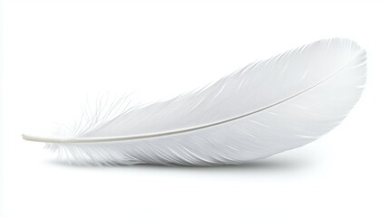 A white feather is shown on a white background