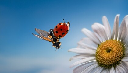 Wall Mural - A ladybug in flight, wings partially open, captured against a soft, blurred background of li