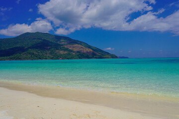 beach with water