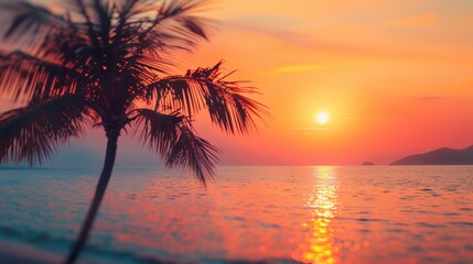 Wall Mural - Beautiful tropical sunset over the ocean, featuring a silhouetted palm tree and vibrant orange and pink sky.