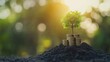 © 69 Timeless  Studio  - Concept of financial growth with stacked coins and a small tree growing on top, symbolizing eco-friendly business investment