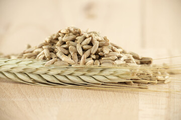 Rye grains and stalks for natural food and agriculture background