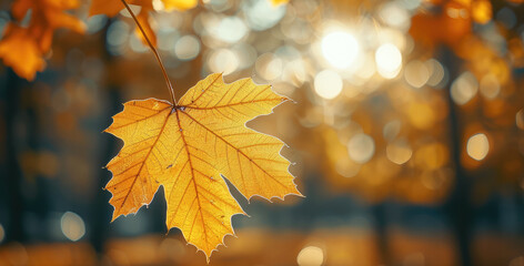 Wall Mural - Close-up of a yellow autumn leaf. A bright orange tree changes with a blurred bokeh background. Golden colors in the park on a light, sunny. Generative AI.