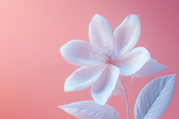 Sticker - Elegant White Flower on a Soft Pink Background with Delicate Petals and Leaves