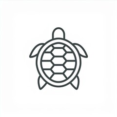 turtle black icon isolated on white