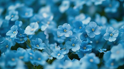 Poster - Blue Forget-me-not flowers. Generative AI