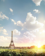 Wall Mural - Eiffel tower on the evening.