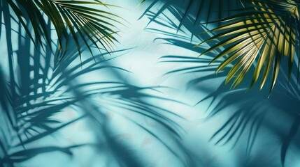 A blue background with the delicate shadow of tropical palm leaves, creating a serene, exotic vibe perfect for summer or beach-themed designs.