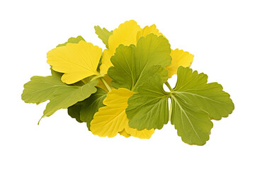 Wall Mural - Fresh mustard leaves isolated on transparent background, high-quality PNG for food and culinary design projects, featuring lush green leaves with detailed texture and natural organic appeal