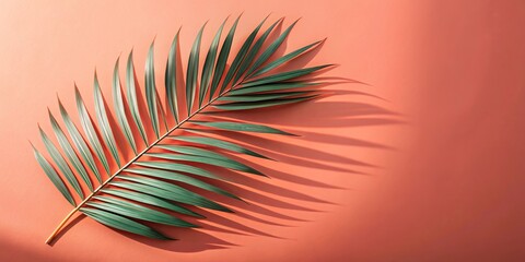 Canvas Print - Palm leaf shadow cast on coral background creating a tropical minimalist nature scene