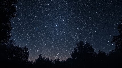 A night sky filled with stars, using long exposure to show the movement of the stars. --ar 16:9 --v 6.1 Job ID: 1ce20956-d303-4bae-b91b-7121ecb61417