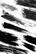 © Gophotograph - Sharp focus captures intricate details of varied black and white brush stroke patterns.