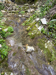 Wall Mural - Small stream on stone rocks in the mountains