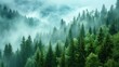 © AI Art Factory - A Tranquil Misty Pine Forest Embracing the Mountains at Dawns Light