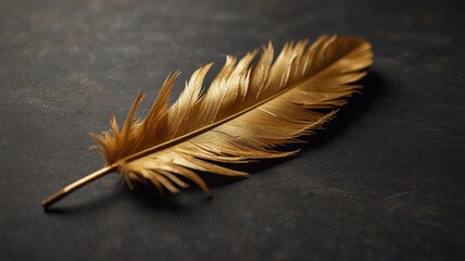 a feather on a black background with a gold color background.