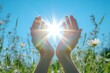 © Anton - Hands cupping sunlight in blue sky, green grass, daisy flowers