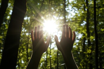 Wall Mural - silhouetted hands reaching for sunlight in green forest