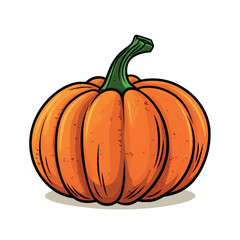 Vibrant orange pumpkin illustration