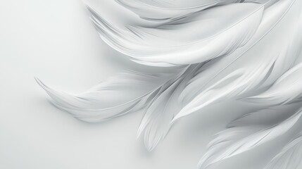 Wall Mural - White feather background