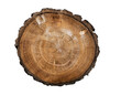 © Png - Video - Photo - Cross-section of a tree trunk with visible growth rings and textured bark edges, showing natural wood grain patterns, cut out transparent isolated PNG