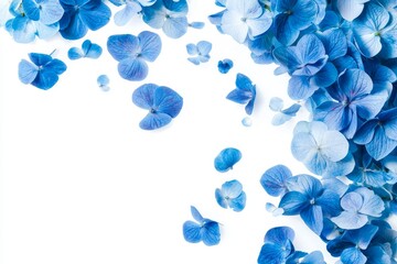 Wall Mural - Blue Flower (Forget me not) petals flying in the air, spring meadow flora isolated.