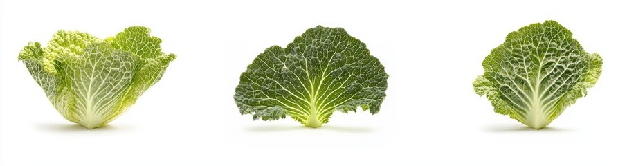 Poster - This is a flat lay view of fresh salad vegetables, healthy with organic food and a collection of green cabbage leaves isolated on a white background.