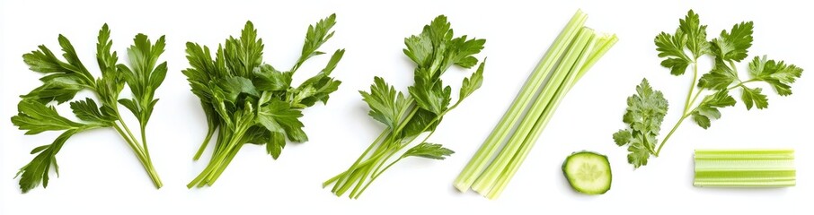 Poster - Flat lay view of Fresh salad vegetables, healthy with organic ingredients, set of green celery with leaves isolated on a white background.