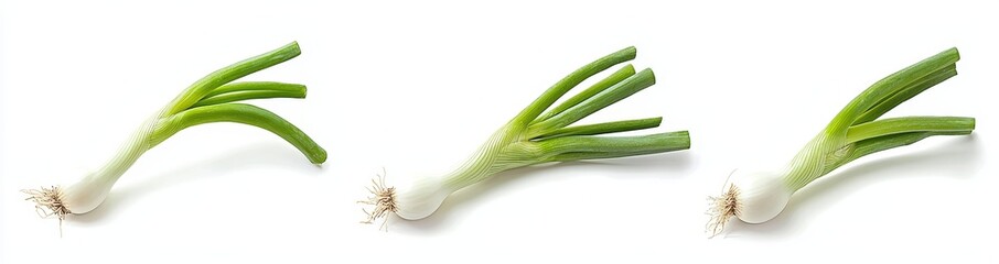 Poster - Fresh salad vegetables, healthy with organic ingredients, flat lay view of a bundle of green onions with leaves.