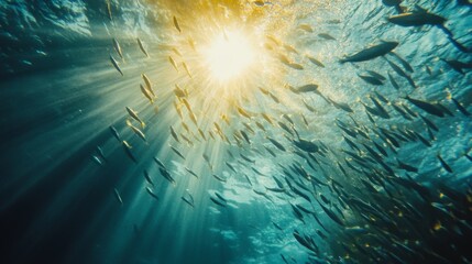 Poster - An underwater shot of a school of small fish creating a mesmerizing pattern as they move through the sunlight-dappled waters of a tropical lagoon