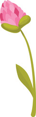 Poster - Vector illustration of a pink clover flower growing on a green stem with a single leaf