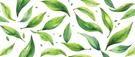 Wall Mural - Green tea leaves pattern background3