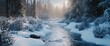 © pentolo - A snow-covered forest with a winding river flowing through it.