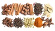 © Vivid Canvas - garam masala spice ingredient on a white backgr. Garam Masala spice ingredient on a white backgroundready for cooking with. A vibrant assortment of va