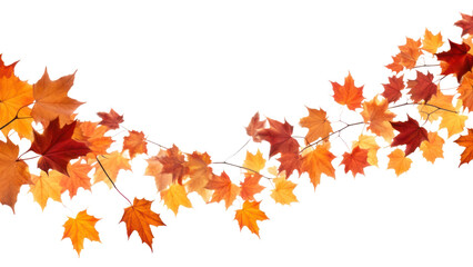 Wall Mural - png autumn leaves on white background