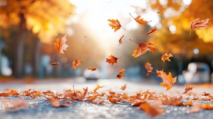 Poster - Autumn leaves falling on the ground.