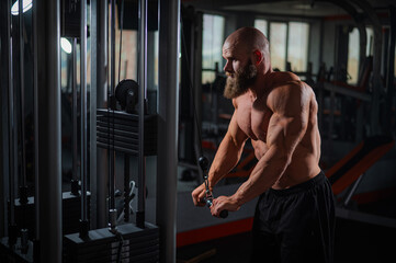 Wall Mural - Bald Caucasian Bodybuilder doing heavy triceps exercises with cable. 