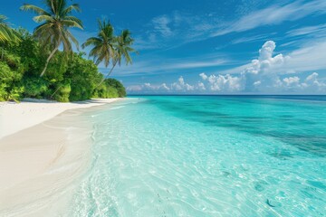 Wall Mural - luxurious tropical landscape. white sand with palm trees and azure sea. a heavenly place to relax. b