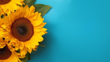 Poster - a bouquet of yellow sunflowers on a blue background