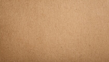 Poster - old brown eco recycled kraft paper texture cardboard background