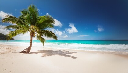 Canvas Print - palm on tropical beach