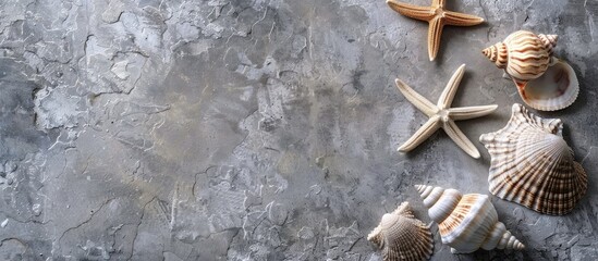 Leinwandbilder - Table background with sea shells or starfish representing a summer theme ideal for texts with a copy space image