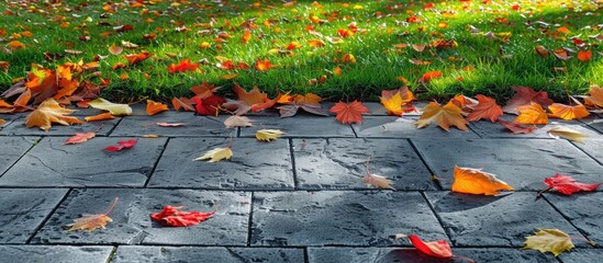 Poster - Autumn scene with leaves falling on street tiles grass lawn perfect for wallpaper featuring empty copy space image
