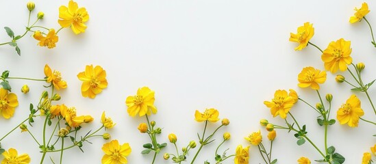 Wall Mural - Close up of yellow flowers on white backdrop with copy space image available