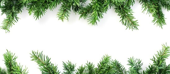 Fototapete - Christmas themed natural backdrop featuring green thuja tree branches against a copy space image